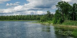 Валдайский перезвон